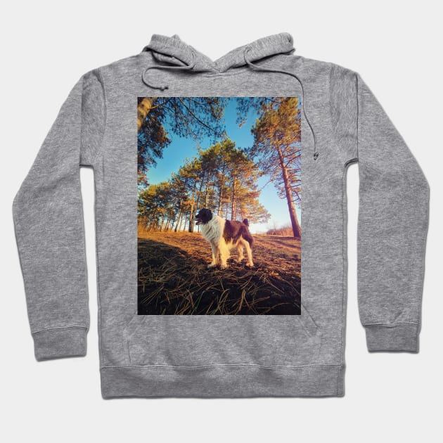 in the pine forest Hoodie by psychoshadow